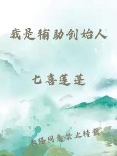 我是辅助创始人