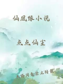 仙凰缘小说