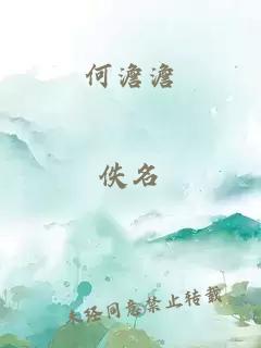 何澹澹