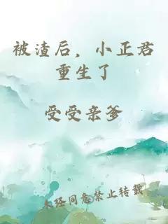 被渣后，小正君重生了