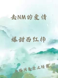 去NM的爱情